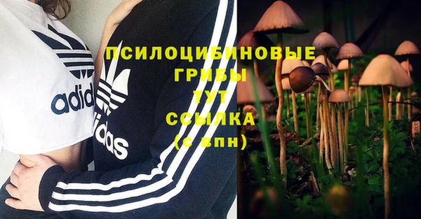 марихуана Армянск