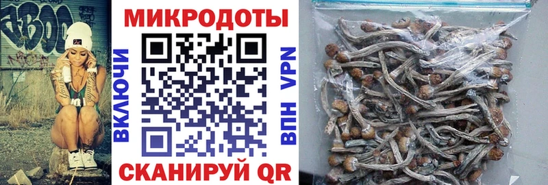 Псилоцибиновые грибы Magic Shrooms  Новая Ляля 